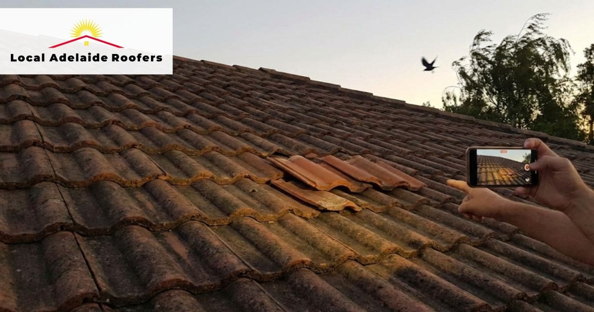 Unusual Noises from the rooftop Indicate